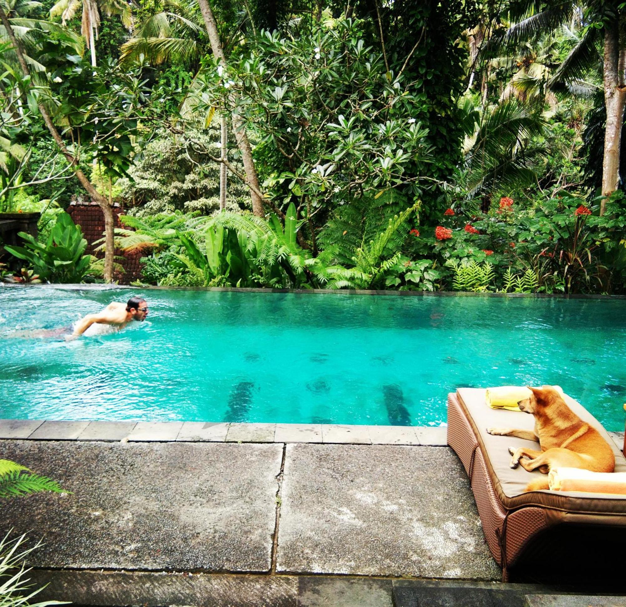Villa Beji Indah Ubud Dış mekan fotoğraf